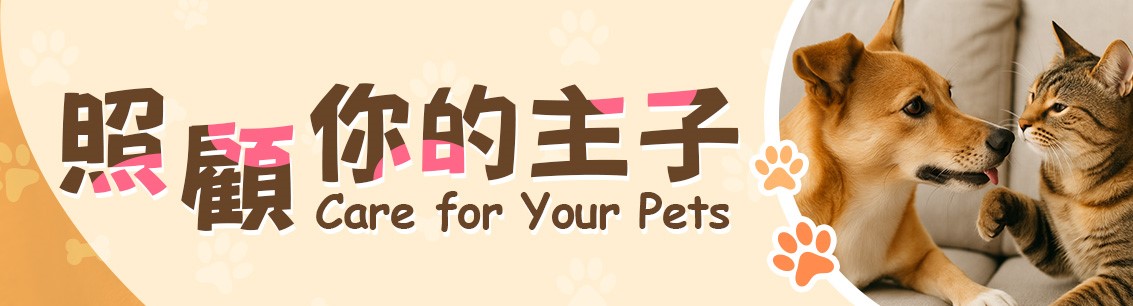 愛錫寵物