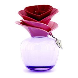 Justin Bieber Someday Eau De Parfum Spray 100ml/3.4oz