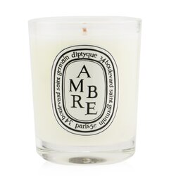 Diptyque Ароматизована Свічка - Ambre (Amber) 70g/2.4oz