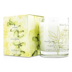 Thymes Świeca zapachowa Aromatic Candle - Eucalyptus 255g/9oz