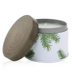 Thymes Aroma gyertya (ón tartó) - Frasier Fir 185g/6.5oz