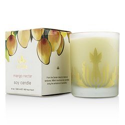 Malie Soy Candle - Mango Nectar 240ml/8oz