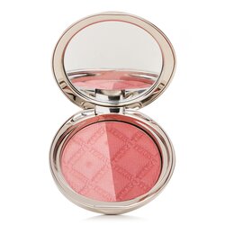 By Terry Terrybly Densiliss Blush Contouring Duo pudr - # 300 Peachy Sculpt 6g/0.21oz