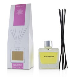Lampe Berger (Maison Berger Paris) Cube Scented Bouquet - Ylangs' Sun 125ml/4.2oz