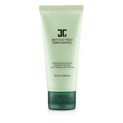 JayJun Anti-Dust Fresh Foam Cleanser 90ml/3.04oz
