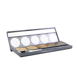Cinema Secrets Ultimate Foundation 5 In 1 Pro Palette - # 200 Series (Medium To Deep Golden Olive Undertones) 12.5g/0.44oz