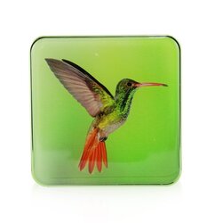 Chantecaille Hummingbird Eye Quartet - Warm 2g/0.07oz