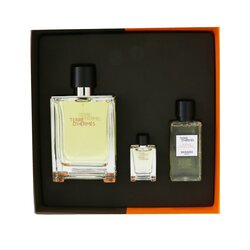 Hermes Terre D'Hermes Coffret: Eau de Toilette Spray 100ml/3.3oz + Hair And Body Shower Gel 40ml/1.35oz + Eau de Toilette 5ml/0.17oz 3pcs