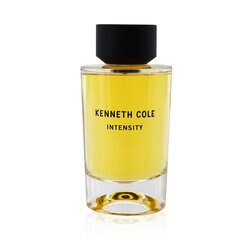Kenneth Cole Intensity Eau De Toilette Spray 100ml/3.4oz
