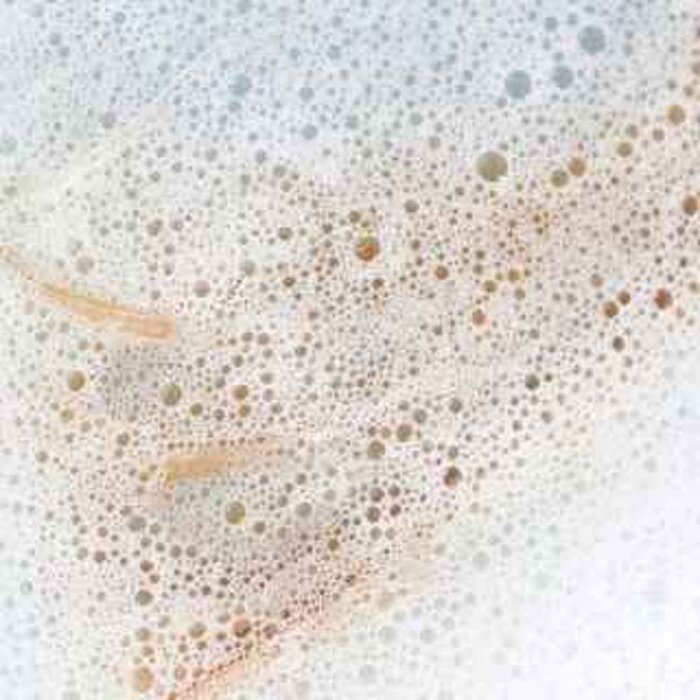 Blossom Blossom Colour Care Shampoo, Peachy Grapefruit Zest, Designed from the UK Fixed SizeProduct Thumbnail