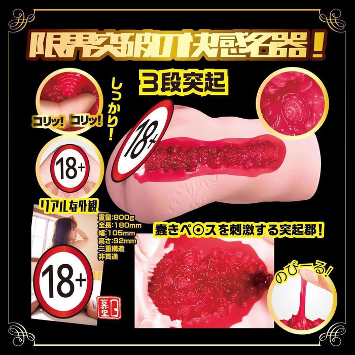 NPG NEW Meiki No Syoumei No.002 Akari Mitani 800gProduct Thumbnail