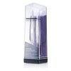 Tweezerman Petite Tweeze Set: Slant Tweezer + Point Tweezer - With Lavendar Leather Case (Studio Collection) 2pcs