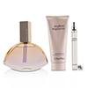 Calvin Klein Endless Euphoria Coffret: Eau De Parfum Spray 125ml/4oz + Sensual Body Lotion 100ml/3.4oz + Eau De Parfum Spray 10ml/0.33oz 3pcs