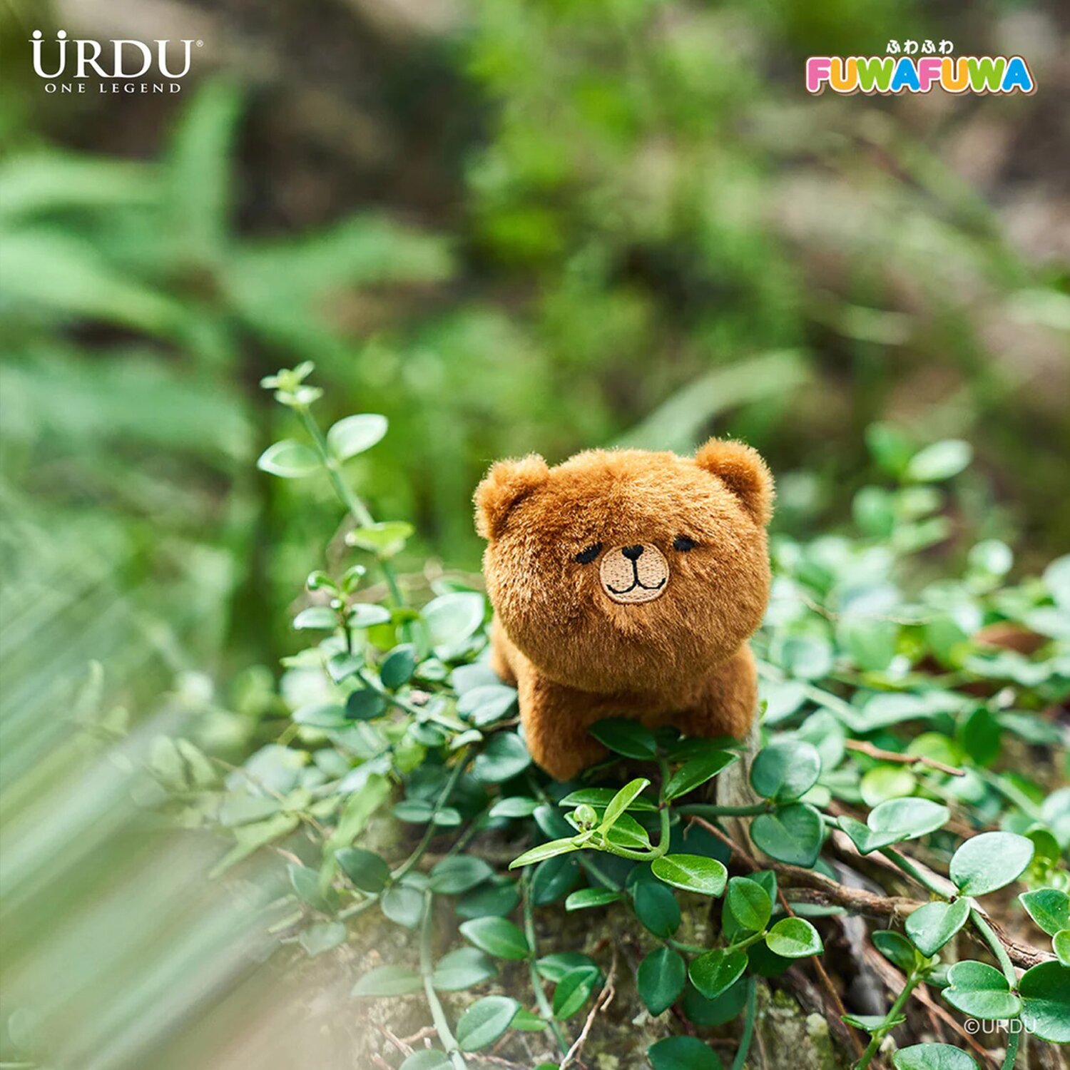 Urdu URDU FUWAFUWA PART 2-BEAR (BOX OF 5) 11 x 9 x 12.5cm